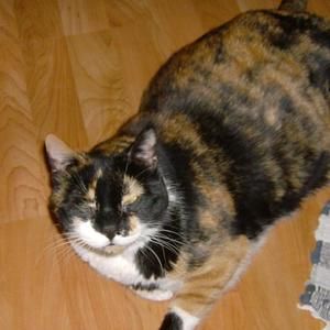 Meet your Posher, Vivianne